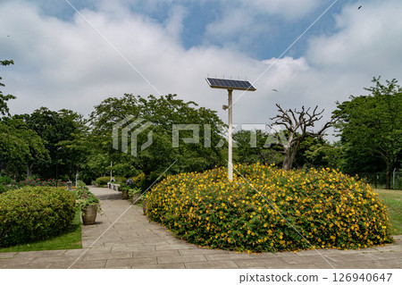 Scenery of hill park where harbor can be seen Scenery of hill park where harbor can be seen 126940647