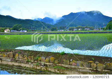 Early morning Satoyama: Mirror reflection: Rural scenery with fresh greenery, near Okubo-cho, Tochigi City 126940715