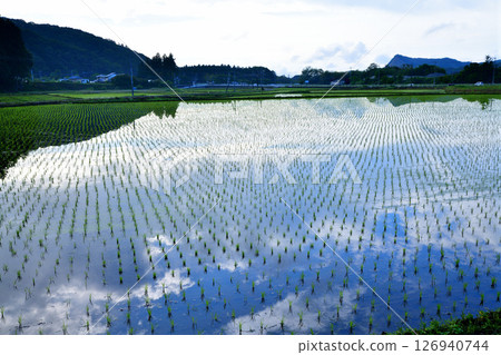 Early morning Satoyama: Mirror reflection: Rural scenery with fresh greenery, near Okubo-cho, Tochigi City Early morning Satoyama: Mirror reflection: Rural scenery with fresh greenery, near Okubo-cho, Tochigi City 126940744