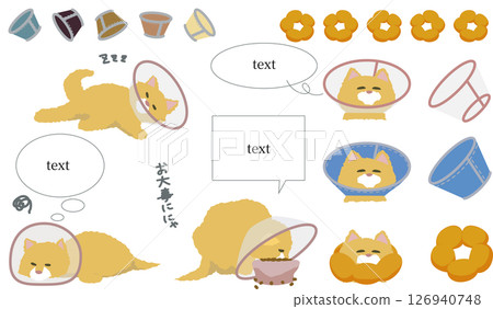一隻戴著項圈的貓的插圖 126940748