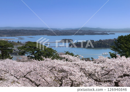 松島公園，日本三大名勝之一的松島 126940846