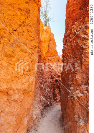 Bryce Canyon National Park landscape in Utah, United States. Brice Canyon in Navaho Loop Trail  126941386