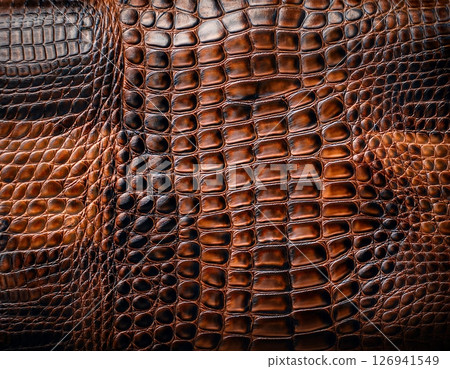Close Up of Crocodile Leather Texture in Brown and Dark Tones Close Up of Crocodile Leather Texture in Brown and Dark Tones 126941549