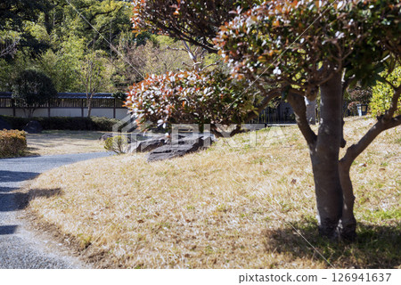 大川沿岸的藤田家遺址公園 大川沿岸的藤田家遺址公園 126941637