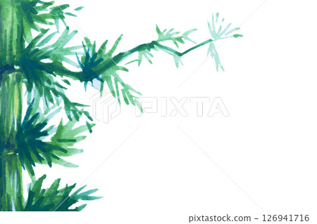 Green bamboo stems and leaves isolated on white background. Watercolor hand drawn Green bamboo stems and leaves isolated on white background. Watercolor hand drawn 126941716