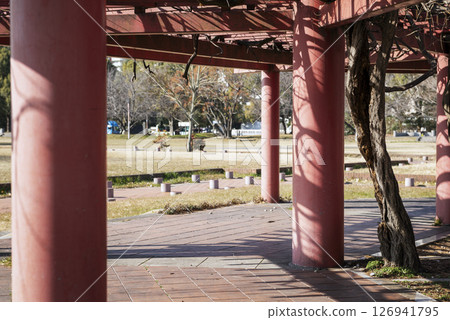 冬季的浪速宮遺址公園 冬季的浪速宮遺址公園 126941795