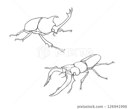 犀牛甲蟲和鍬形蟲的寫實線條畫插圖集 126941998