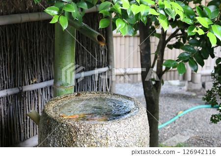 Tsukubai (stone basin) at Shoren-in Temple in Kyoto Tsukubai (stone basin) at Shoren-in Temple in Kyoto 126942116