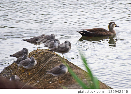 Rest area Rest area 126942346