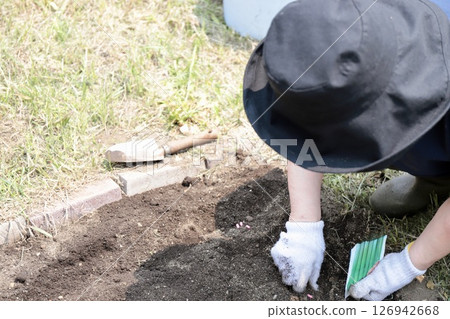 一位 70 多歲婦女在自家花園種植豆類 126942668
