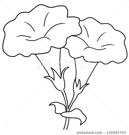 Drawing of Feverroot Flower in Black and White for Coloring Drawing of Feverroot Flower in Black and White for Coloring 126942743