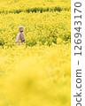 A child walking through a rapeseed field 126943170