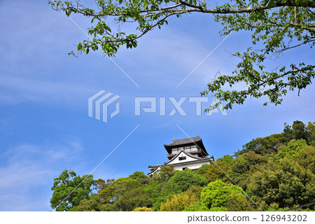 <Aichi Prefecture> Inuyama Castle, a national treasure, stands out against the fresh greenery 126943202