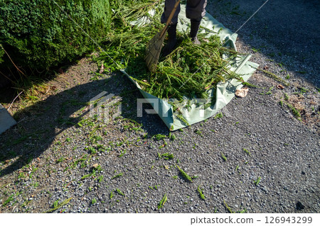 Plant waste Plant waste 126943299