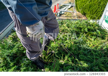 Plant waste loaded onto a light truck Plant waste loaded onto a light truck 126943303