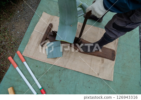 Cut the agave leaves into small pieces using a press cutter. Cut the agave leaves into small pieces using a press cutter. 126943316