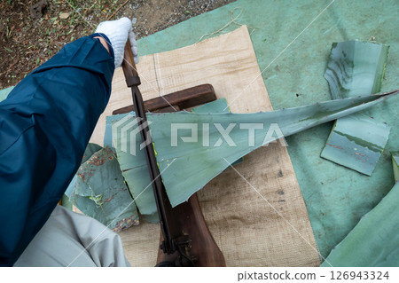 Cut the agave leaves into small pieces using a press cutter. 126943324