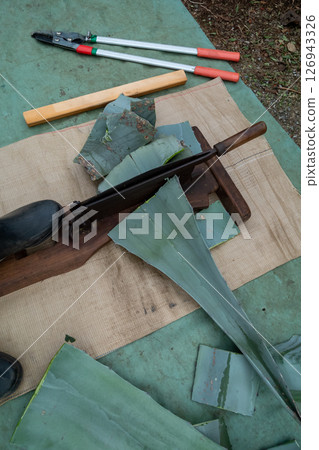Cut the agave leaves into small pieces using a press cutter. 126943326