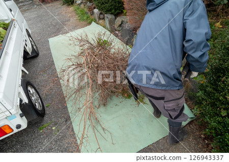 Pruning waste, plant waste Pruning waste, plant waste 126943337