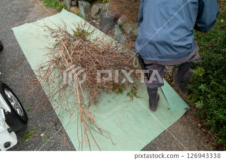Pruning waste, plant waste Pruning waste, plant waste 126943338