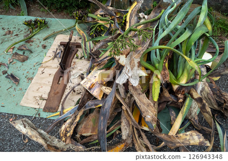 Cut the plant waste into small pieces using a press 126943348