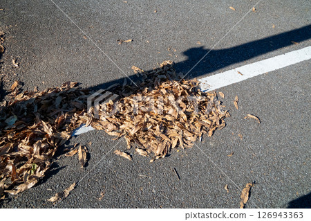 落葉在冬日的道路上飄落 126943363