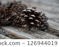 Pine cones on a bench 126944019