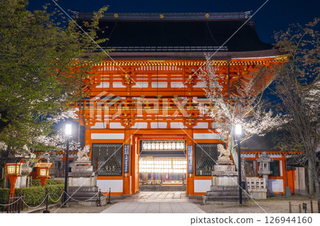 Kyoto Yasaka Shrine South Tower Gate and Cherry Blossoms at Night 126944160