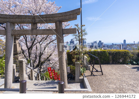 Spring in Kobe: Kitano Tenmangu Shrine - The stone steps leading to the shrine are covered in cherry blossoms in full bloom Spring in Kobe: Kitano Tenmangu Shrine - The stone steps leading to the shrine are covered in cherry blossoms in full bloom 126944172