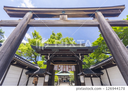 京都,白峰神社,新門和鳥居在新綠中 京都,白峰神社,新門和鳥居在新綠中 京都,白峰神社,新門和鳥居在新綠中 京都,白峰神社,新門和鳥居在新綠中 126944178