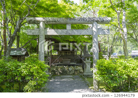 Fresh greenery in Kyoto - Adashino Nenbutsu Temple and Tenmangu Shrine Fresh greenery in Kyoto - Adashino Nenbutsu Temple and Tenmangu Shrine 126944179