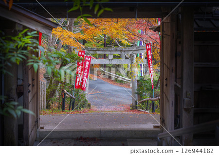 Autumn in Kyoto: Beautiful autumn leaves at Sorin-in Temple (Yamashina Shoten) 126944182