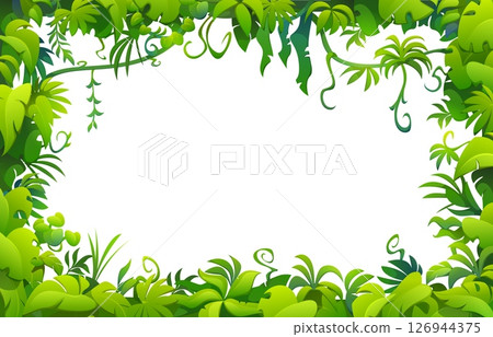 Tropical lianas frame of jungle forest plants, vines and trees branches, vector game background. Cartoon tropical lianas, jungle creeper plants and rainforest trees frame with green leaves borders Tropical lianas frame of jungle forest plants, vines and trees branches, vector game background. Cartoon tropical lianas, jungle creeper plants and rainforest trees frame with green leaves borders 126944375