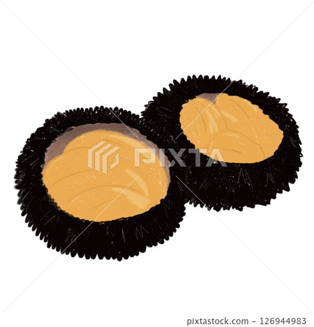 Hand-drawn illustration: Sea urchin Hand-drawn illustration: Sea urchin 126944983
