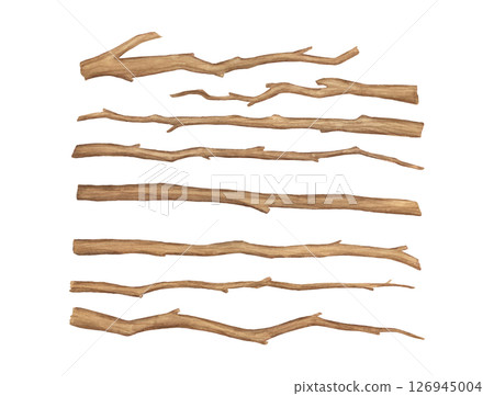 Watercolor tree branches isolated on white background. Hand painted illustrations set, wooden brown dry twig 126945004