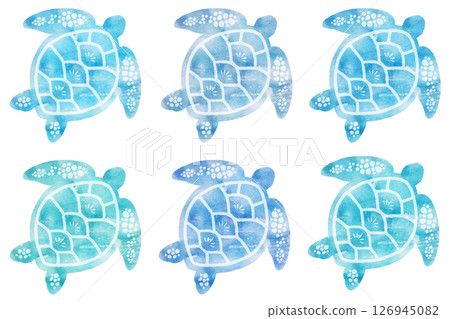 Sea turtle Sea turtle 126945082