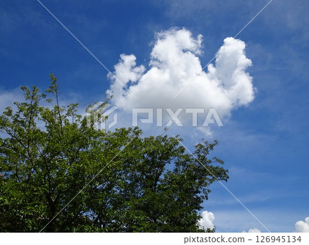 九月雲-1 126945134
