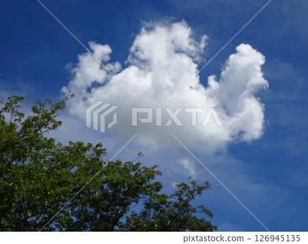 九月雲-2 126945135