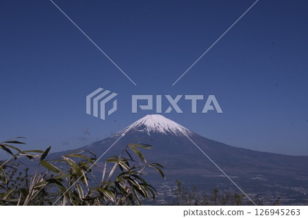 從長尾山口透過竹林望去的富士山 126945263