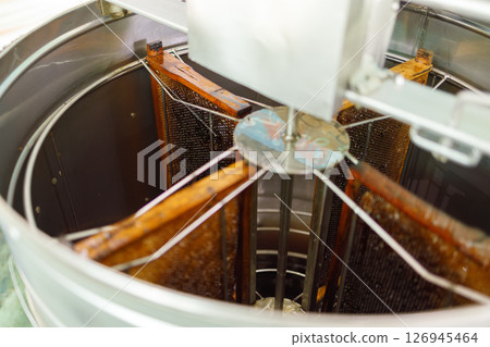 Apiculture, Growing bee in farm process for honey extract, highly nutrition food from danger bug. Apiculture, Growing bee in farm process for honey extract, highly nutrition food from danger bug. 126945464