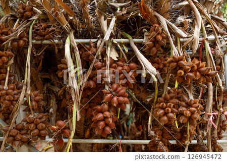 Salacca wallichiana fruit has sharp thorns on the skin taste sweet and sour with a unique aroma agriculture plant in southeast asian 126945472