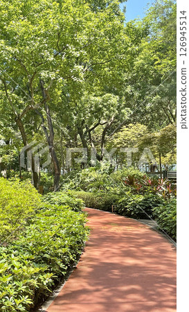 Vertical jogging and running red outdoor track with green plants and tree Vertical jogging and running red outdoor track with green plants and tree 126945514