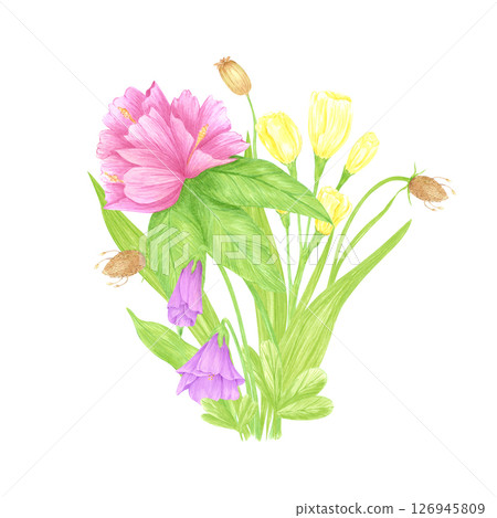 Hand drawn watercolor azalea lisianthus anemone bouquet. Flower of the field isolated on white background. Can be used for postcard, label, scrapbook and other printed products. 126945809