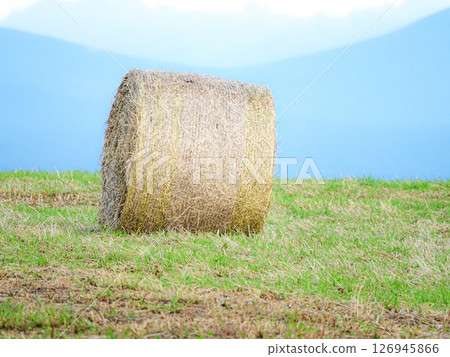 A scene with hay rolls in Hokkaido, the kingdom of dairy farming 126945866