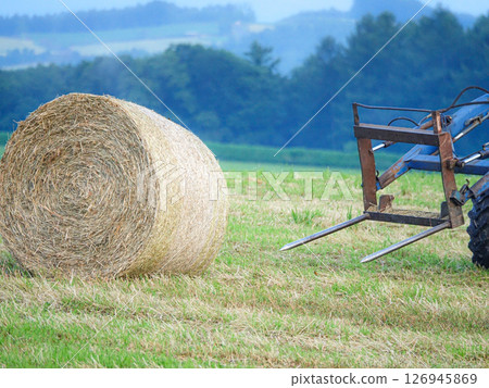 乳業王國北海道的乾草捲場景 乳業王國北海道的乾草捲場景 126945869