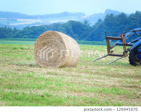 乳業王國北海道的乾草捲場景 126945870