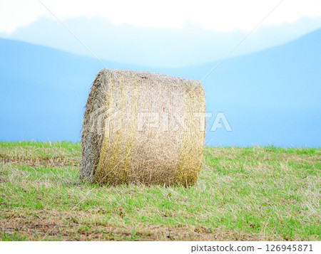 乳業王國北海道的乾草捲場景 乳業王國北海道的乾草捲場景 126945871