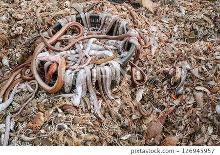 Pile of marine fish and seafood in Asian sea market in Vietnam in Asia. Catch fresh sea fish on the deck of a fishing ship boat 126945957