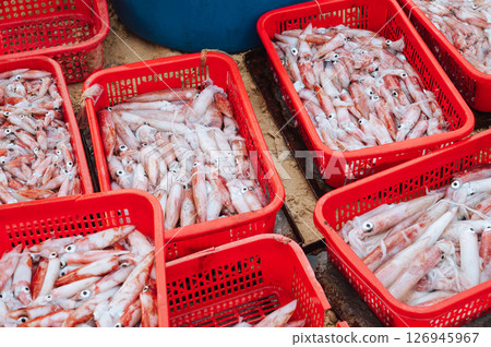 catch of fresh squid in containers at the Vietnamese seafood market in Vietnam 126945967