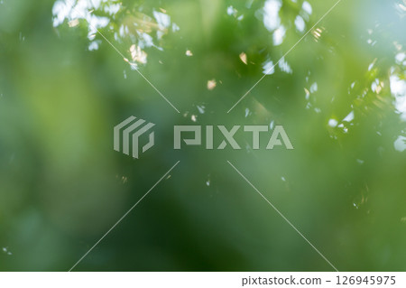 Business concept nature revolves around citrus orchard orange tree are growing, vibrant fruit organic lush leaves creating stunning background, green blur garden of thriving crop ripe laden branches Business concept nature revolves around citrus orchard orange tree are growing, vibrant fruit organic lush leaves creating stunning background, green blur garden of thriving crop ripe laden branches 126945975